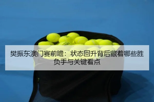 樊振东澳门赛前瞻：状态回升背后藏着哪些胜负手与关键看点